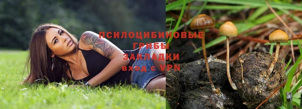 прущий лед Карпинск