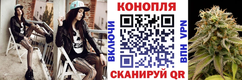 Купить закладки  Ленинск-Кузнецкий  Каннабис план 